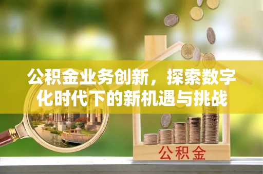 天涯公积金业务创新，探索数字化时代下的新机遇与挑战