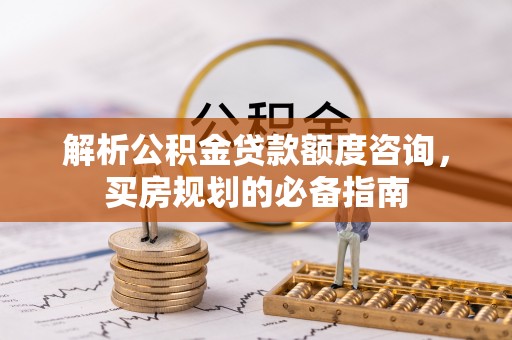天涯解析公积金贷款额度咨询，买房规划的必备指南