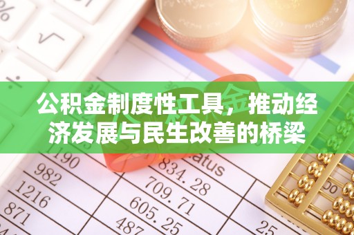天涯公积金制度性工具，推动经济发展与民生改善的桥梁