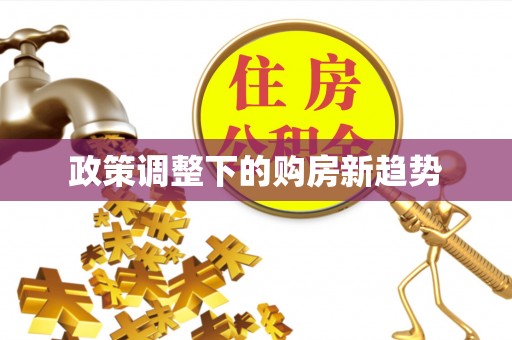 天涯政策调整下的购房新趋势