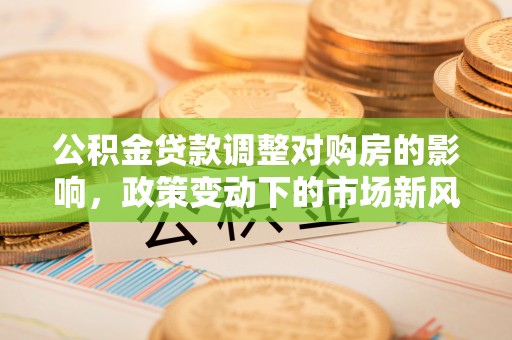 天涯公积金贷款调整对购房的影响，政策变动下的市场新风向