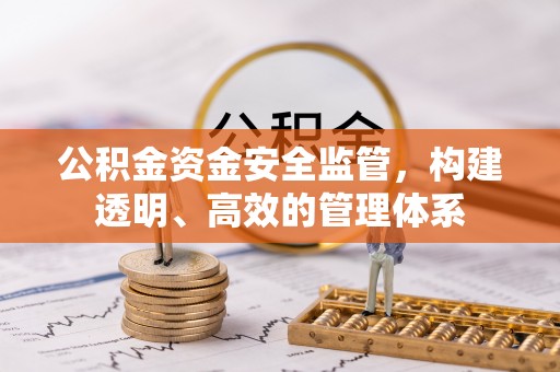 天涯公积金资金安全监管，构建透明、高效的管理体系