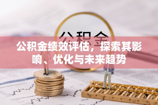 天涯公积金绩效评估，探索其影响、优化与未来趋势