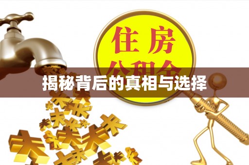 天涯揭秘背后的真相与选择