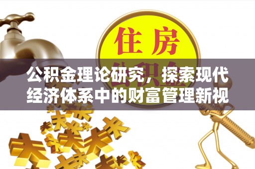 天涯公积金理论研究，探索现代经济体系中的财富管理新视角
