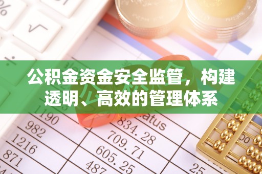 天涯公积金资金安全监管，构建透明、高效的管理体系