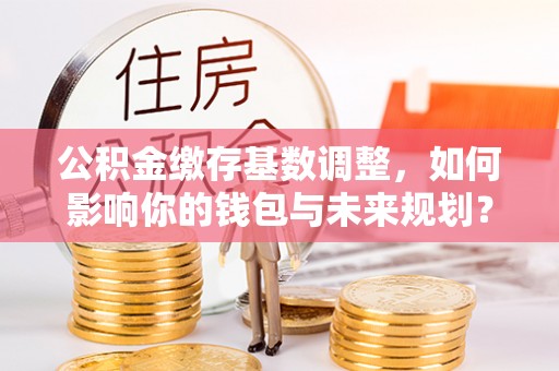 天涯公积金缴存基数调整，如何影响你的钱包与未来规划？