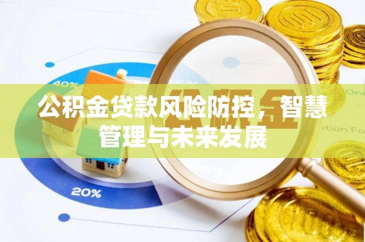 天涯公积金贷款风险防控，智慧管理与未来发展