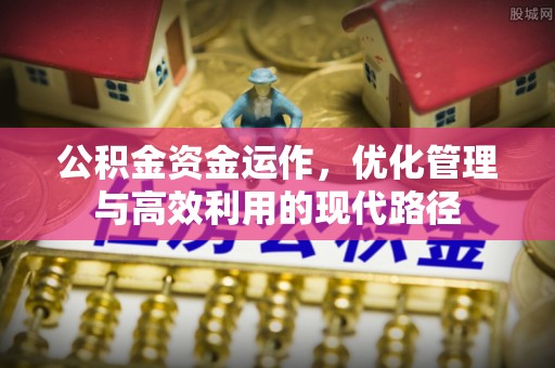 天涯公积金资金运作，优化管理与高效利用的现代路径