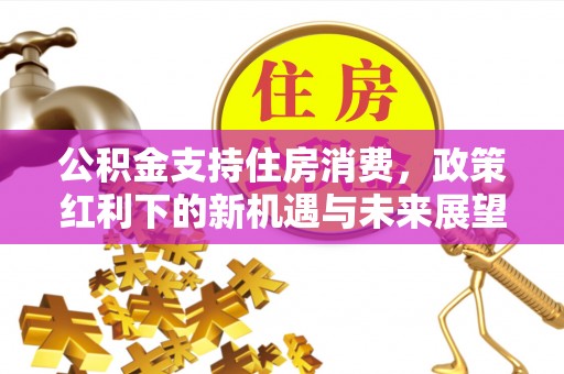 天涯公积金支持住房消费，政策红利下的新机遇与未来展望