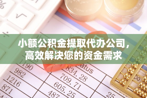 天涯小额公积金提取代办公司，高效解决您的资金需求