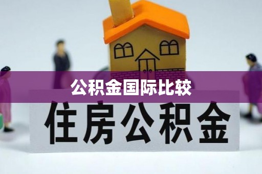 天涯公积金国际比较