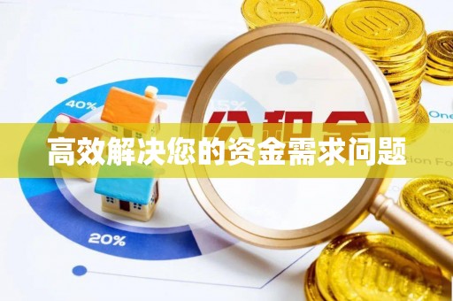天涯高效解决您的资金需求问题