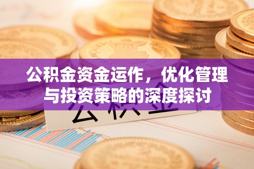 天涯公积金资金运作，优化管理与投资策略的深度探讨