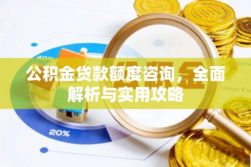 天涯公积金贷款额度咨询，全面解析与实用攻略