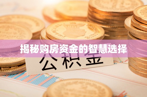 天涯揭秘购房资金的智慧选择