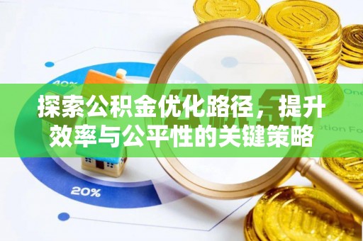 天涯探索公积金优化路径，提升效率与公平性的关键策略