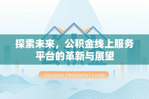 天涯探索未来，公积金线上服务平台的革新与展望