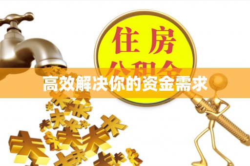 天涯高效解决你的资金需求