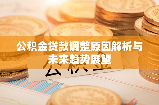 天涯公积金贷款调整原因解析与未来趋势展望