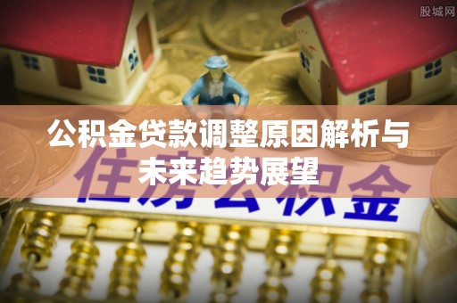 天涯公积金贷款调整原因解析与未来趋势展望