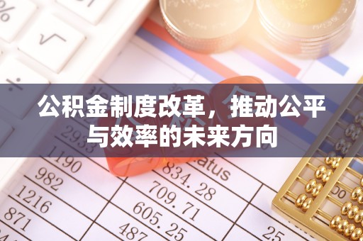 天涯公积金制度改革，推动公平与效率的未来方向
