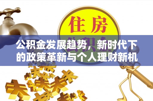天涯公积金发展趋势，新时代下的政策革新与个人理财新机遇