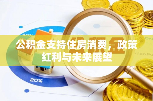 天涯公积金支持住房消费，政策红利与未来展望