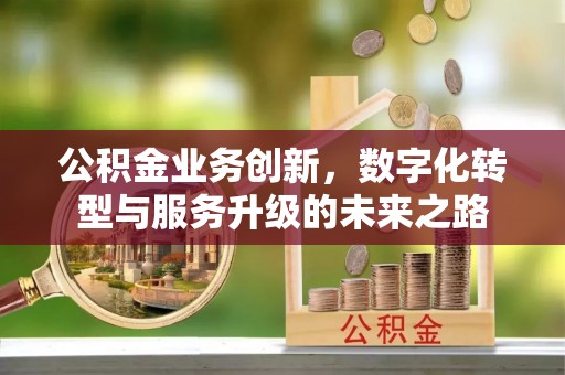 天涯公积金业务创新，数字化转型与服务升级的未来之路