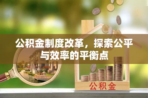 天涯公积金制度改革，探索公平与效率的平衡点