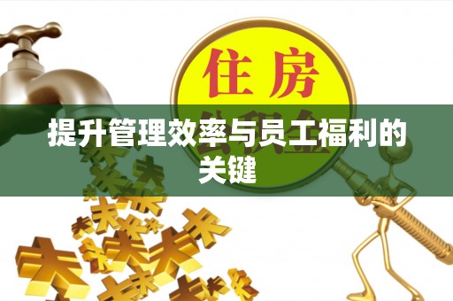 天涯提升管理效率与员工福利的关键