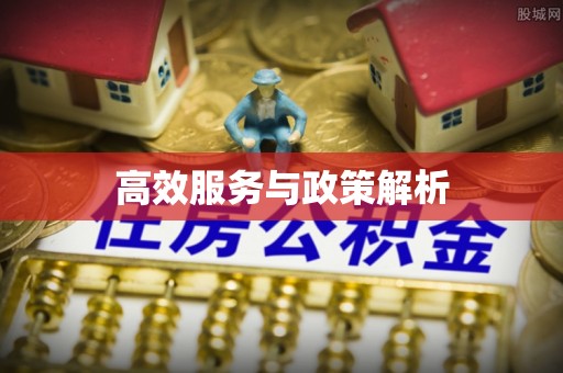 天涯高效服务与政策解析