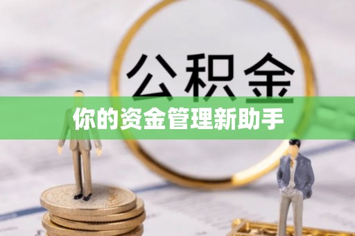 天涯你的资金管理新助手