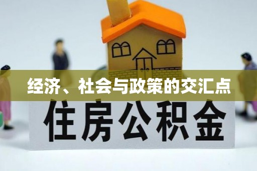 天涯经济、社会与政策的交汇点