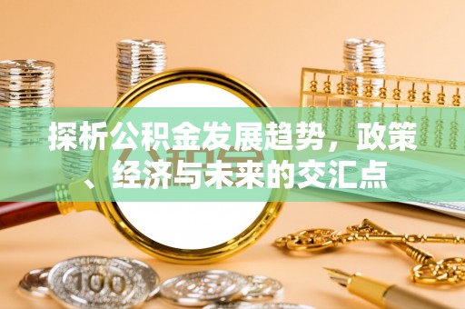 天涯探析公积金发展趋势，政策、经济与未来的交汇点