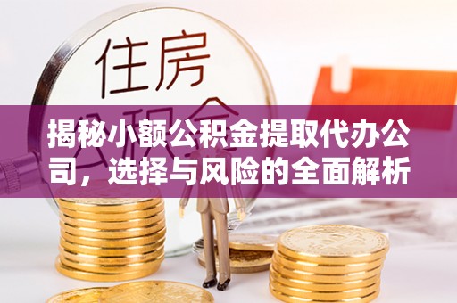 天涯揭秘小额公积金提取代办公司，选择与风险的全面解析