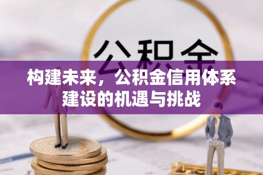 天涯构建未来，公积金信用体系建设的机遇与挑战