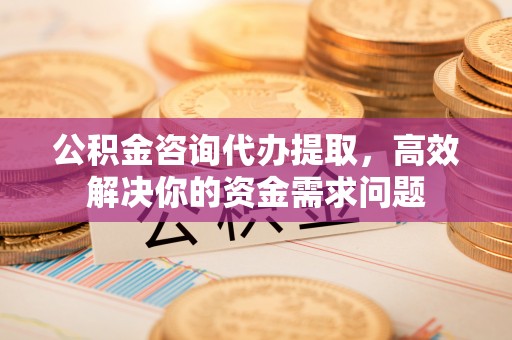 天涯公积金咨询代办提取，高效解决你的资金需求问题