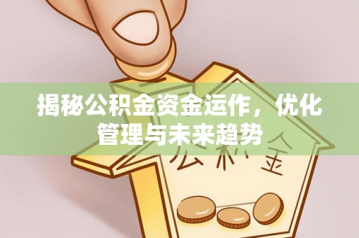 天涯揭秘公积金资金运作，优化管理与未来趋势