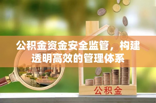 天涯公积金资金安全监管，构建透明高效的管理体系