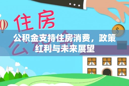 天涯公积金支持住房消费，政策红利与未来展望