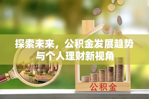 天涯探索未来，公积金发展趋势与个人理财新视角