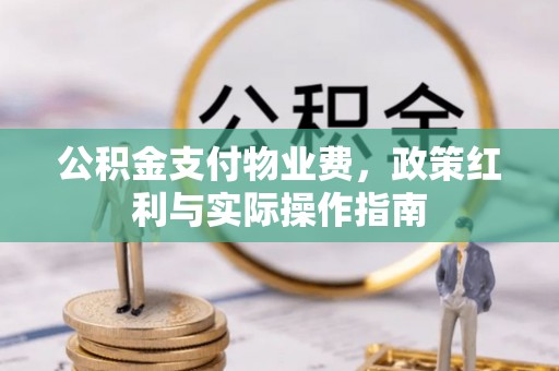 天涯公积金支付物业费，政策红利与实际操作指南