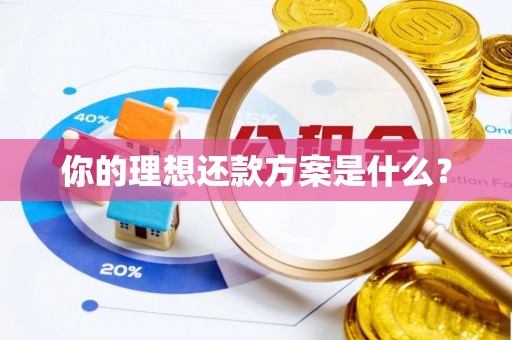 天涯你的理想还款方案是什么？