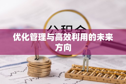 天涯优化管理与高效利用的未来方向