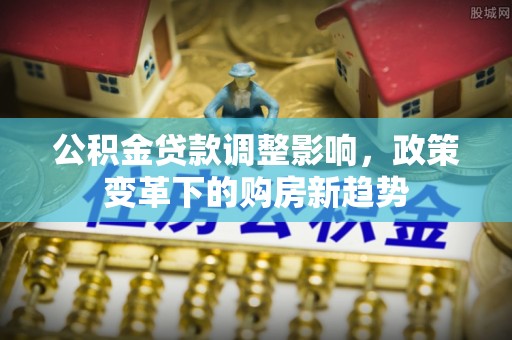 天涯公积金贷款调整影响，政策变革下的购房新趋势