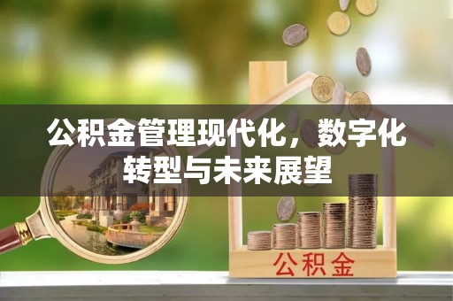 天涯公积金管理现代化，数字化转型与未来展望