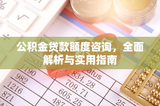 天涯公积金贷款额度咨询，全面解析与实用指南
