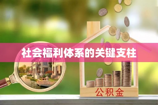 天涯社会福利体系的关键支柱