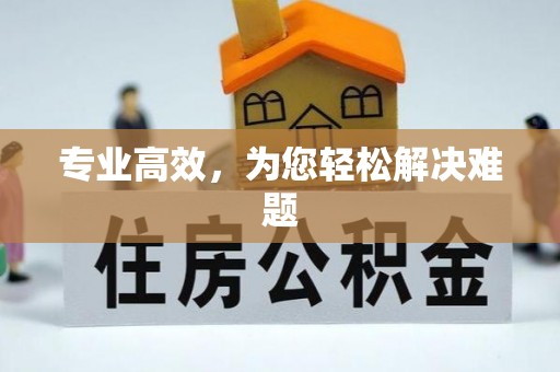 天涯专业高效，为您轻松解决难题
